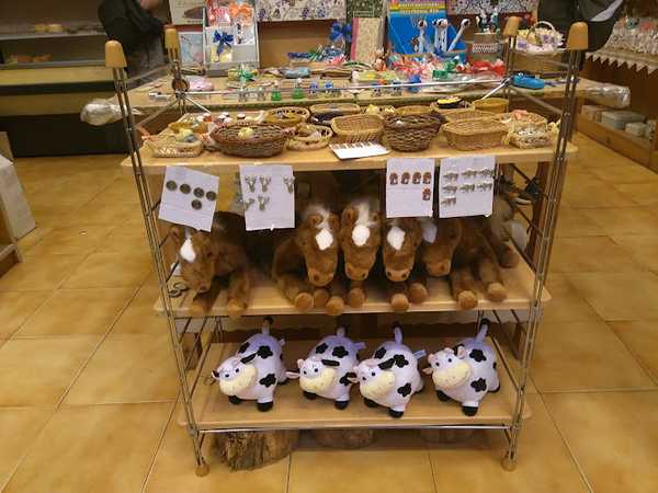 Fotografia tomada fuera de La Negra - Tienda de alimentación en Reinosa, Cantabria