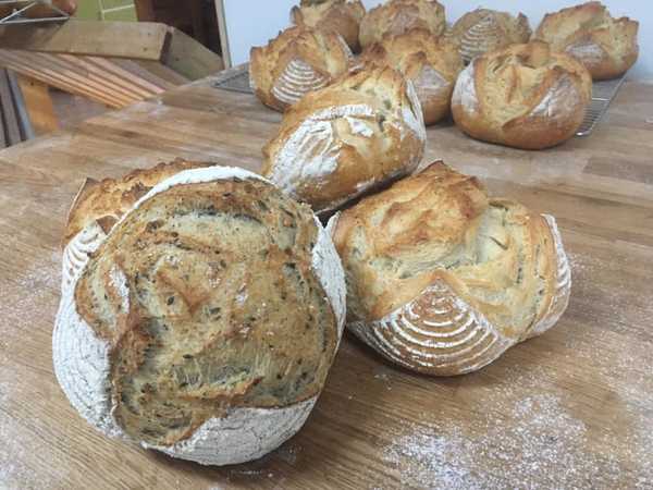 Fotografia tomada fuera de La Panadería de Peraleda de la Mata - Panadería en Peraleda de la Mata, Cáceres