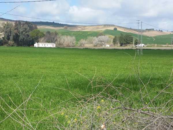 Fotografia tomada fuera de La Torreña - Tienda de fiambres en Torre-Alháquime, Cádiz