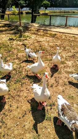 Fotografia tomada fuera de Lorenzo Losantos Juan Carlos - Panadería en Moraleja, Cáceres