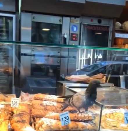 Fotografia tomada fuera de Macxipa 24h Tuset - Panadería en Barcelona, Barcelona