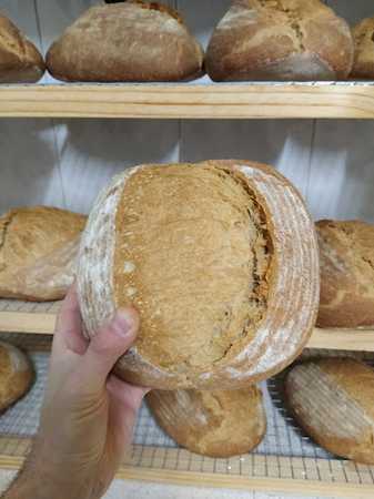 Fotografia tomada fuera de basotik VALPUESTA. - Panadería en Valpuesta, Burgos