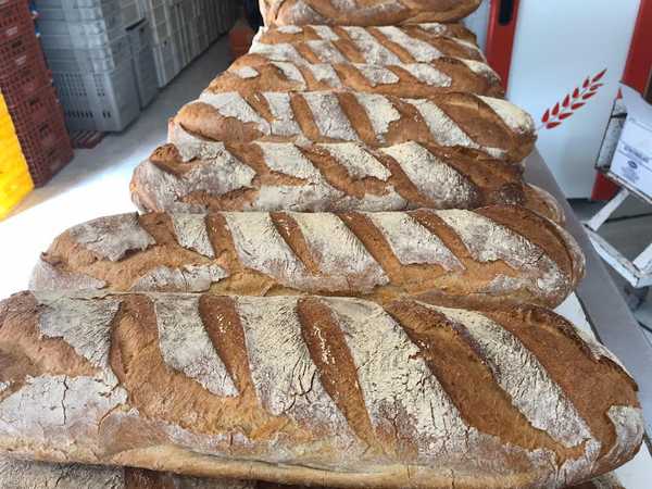 Fotografia tomada fuera de Panadería Arins - Panadería en Santiago de Compostela, A Coruña