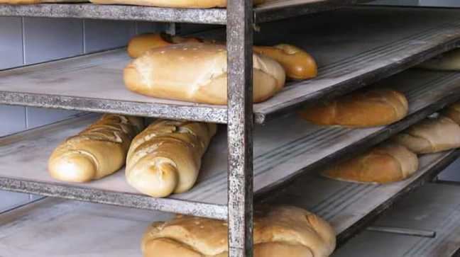 Fotografia tomada fuera de Panadería Francisco Javier - Panadería en San Martín del Pimpollar, Ávila