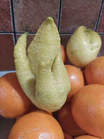 Fotografia tomada fuera de Panadería Fruteria Calle Valencia - Fruiteria en Villarreal, Castellón