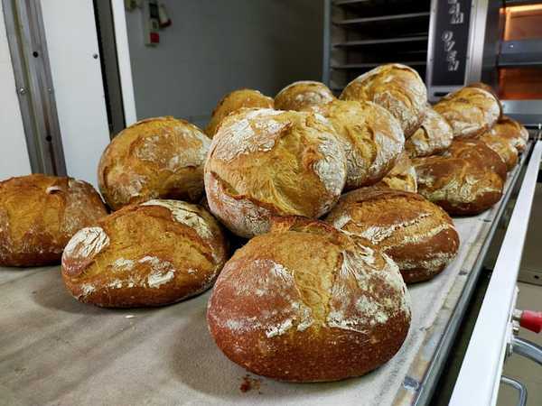 Fotografia tomada fuera de Panadería Lombardero - Panadería en Pastoriza, Lugo