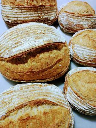 Fotografia tomada fuera de Panaderia Vanessa - Panadería en Petrer, Alicante