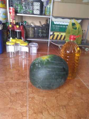 Fotografia tomada fuera de Panadería Vieco - Panadería en San Lorenzo de la Parrilla, Cuenca