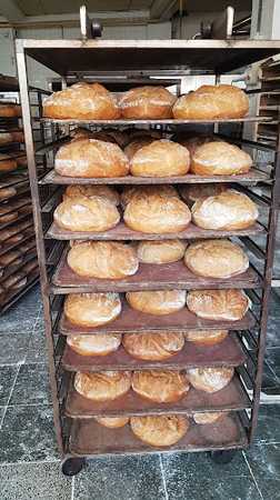 Fotografia tomada fuera de Panaderías Camblor SA - Panadería en Gijón, Asturias