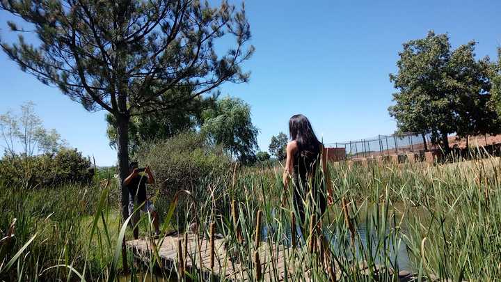 Fotografia tomada fuera de Panificadora La Serrana - Panadería en Salas de los Infantes, Burgos