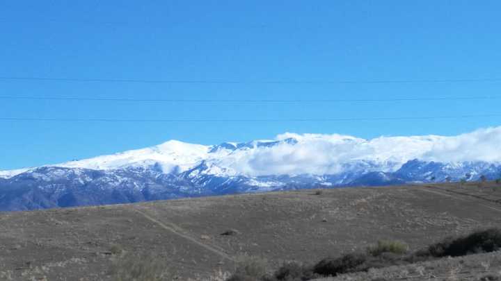 Fotografia tomada fuera de Pastelería Productos Arquelladas SL - Pastelería en Las Gabias, Granada