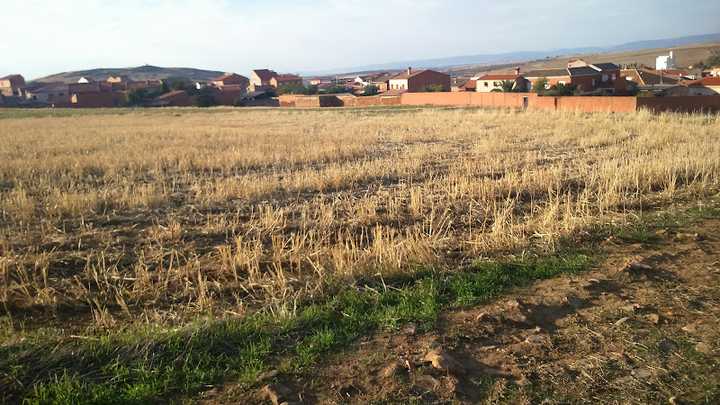 Fotografia tomada fuera de Ultramarinos Rojas Panadería - Tienda de alimentación en Porzuna, Ciudad Real
