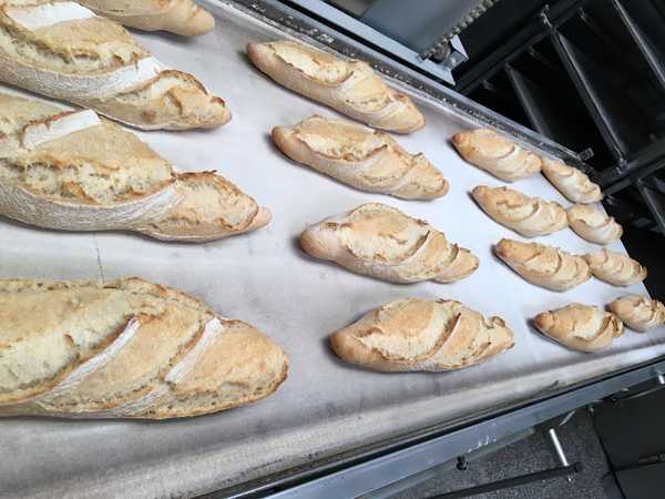 Fotografia tomada fuera de Unión Panadera San Andrés, S.L. - Panadería en León, León