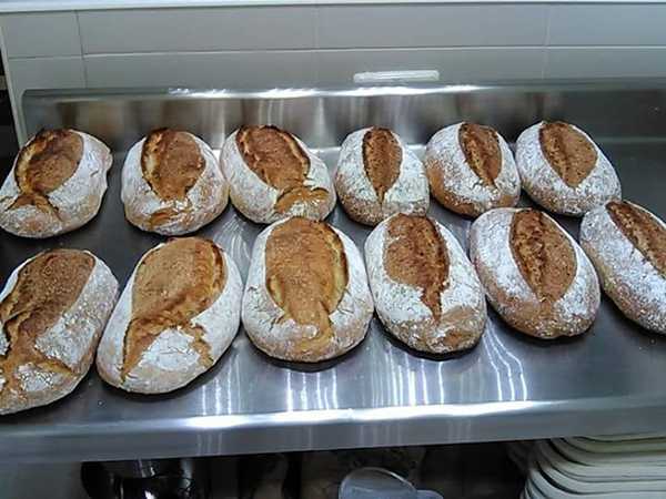 Fotografia tomada fuera de El Horno de Ángeles - Panadería en Gargantilla del Lozoya, Madrid