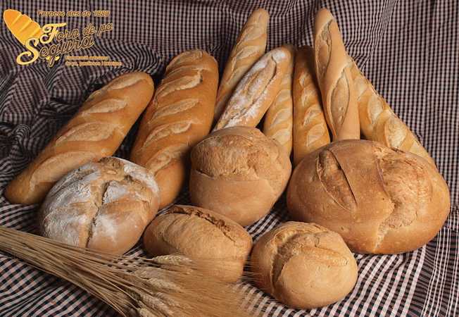 Fotografia tomada fuera de Horno de Pan Segura - Forn de pa en Lleida, Lleida