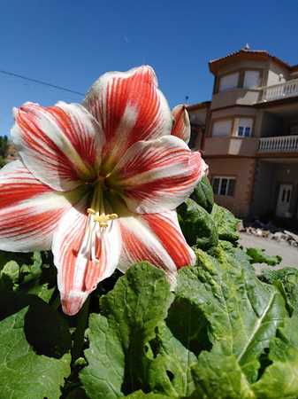 Fotografia tomada fuera de Horno Villaspesa - Panadería en Villaspesa Terurel, Teruel