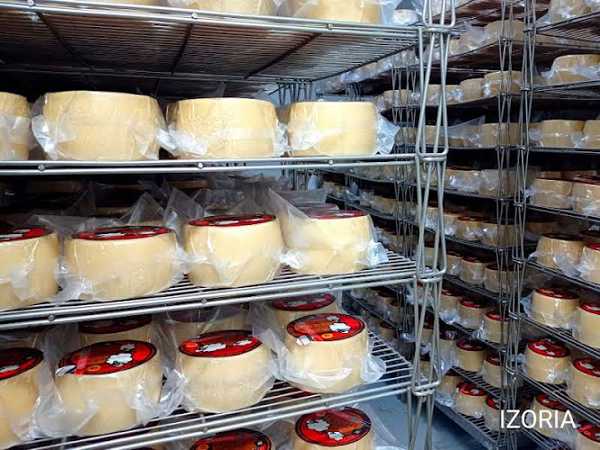 Fotografia tomada fuera de IZORIA Baserria Quesos y Miel - Quesería en Izoria, Álava