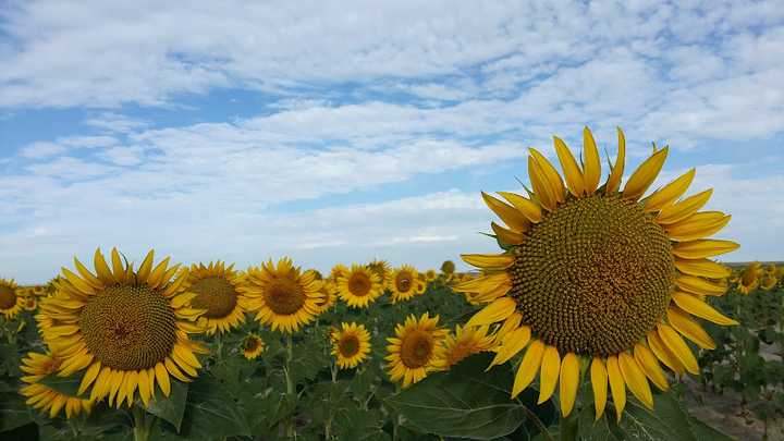 Fotografia tomada fuera de José Luis Domínguez Conde - Panadería en Pinilla de Toro, Zamora