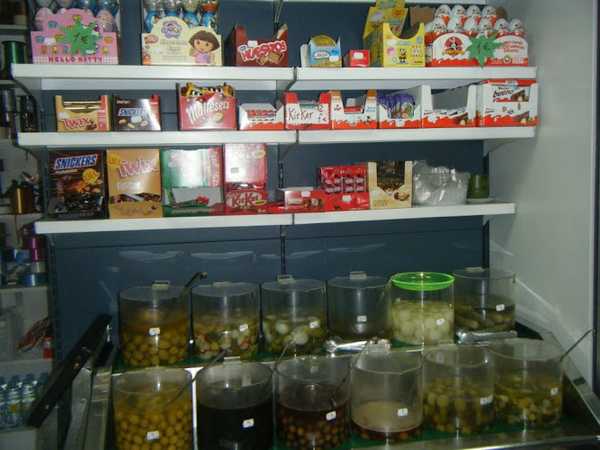 Fotografia tomada fuera de Kiosco Bambi - Tienda de golosinas en La Bañeza, León