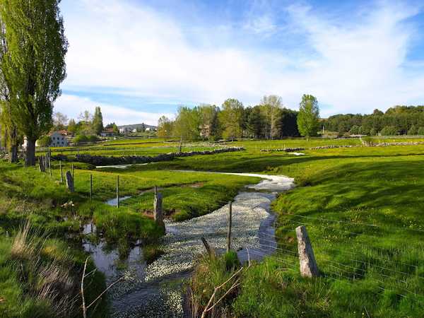 Fotografia tomada fuera de LA CASA CHICA - Panadería en Navarredonda de Gredos, Ávila
